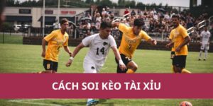 Hướng Dẫn Cách Soi Kèo Tài Xỉu Hiệu Quả Từ Chuyên Gia 2 Hướng Dẫn Cách Soi Kèo Tài Xỉu Hiệu Quả Từ Chuyên Gia