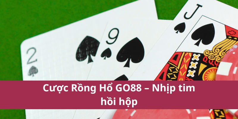 Cược Rồng Hổ GO88 – Nhịp tim hồi hộp